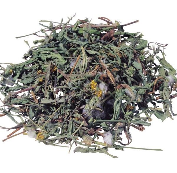Pu Gong Ying